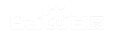 ��ѨAI�Ż�